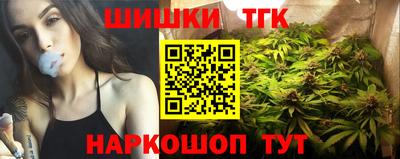 гидра Заводоуковск